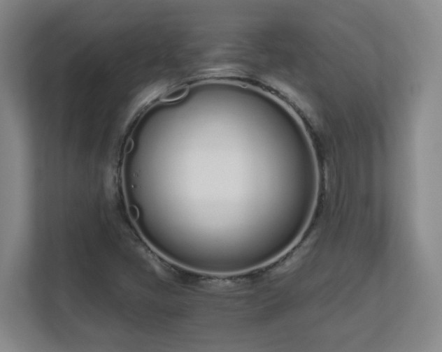 X0000110671405200906191336