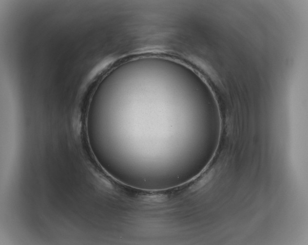 X0000110671406200906191336