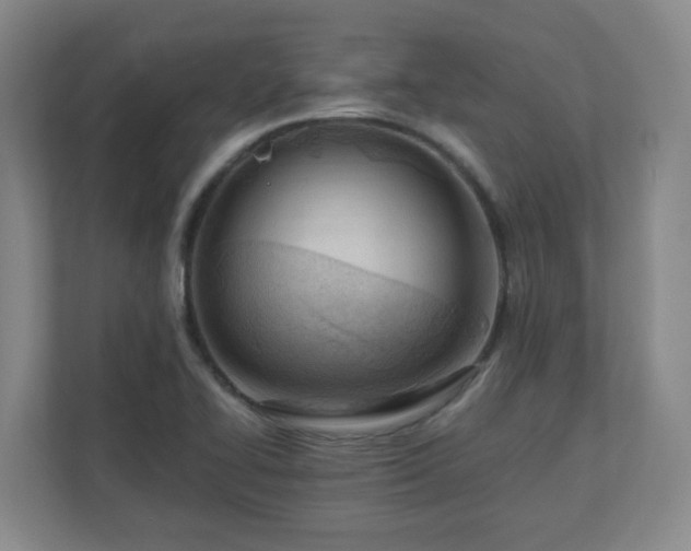 X0000110671414200906191336