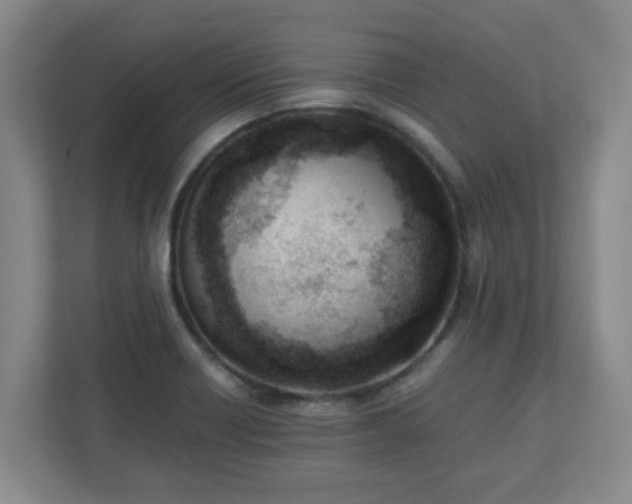 X0000110671418200906191336
