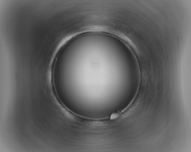 X0000110671424200906191336