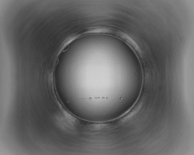 X0000110671425200906191336