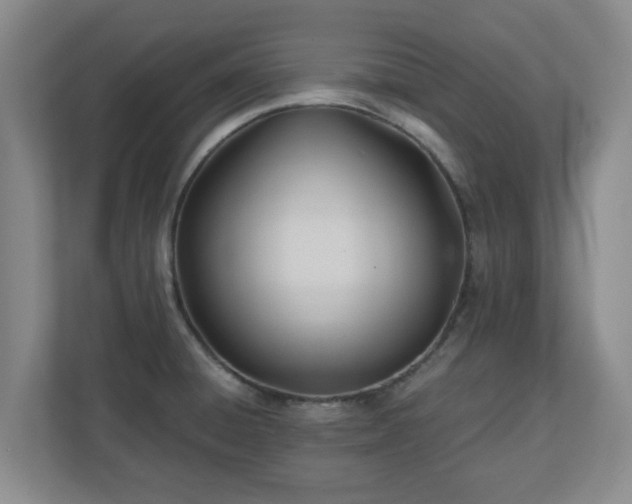 X0000110671428200906191336