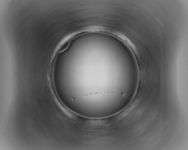 X0000110671429200906191336