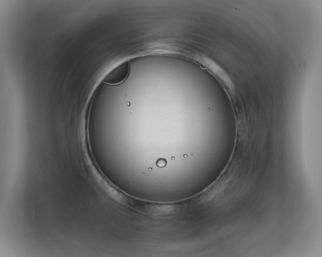 X0000110671431200906191336