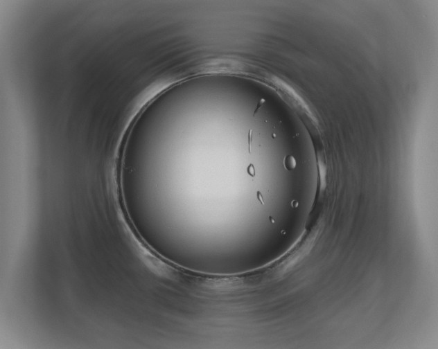 X0000110671434200906191336