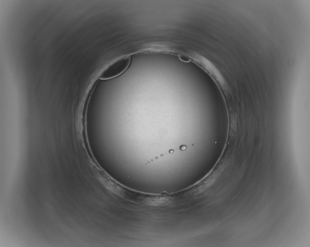 X0000110671435200906191336
