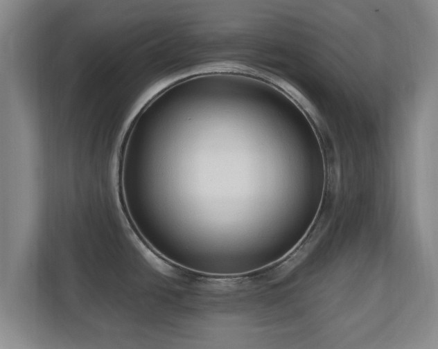 X0000110671438200906191336