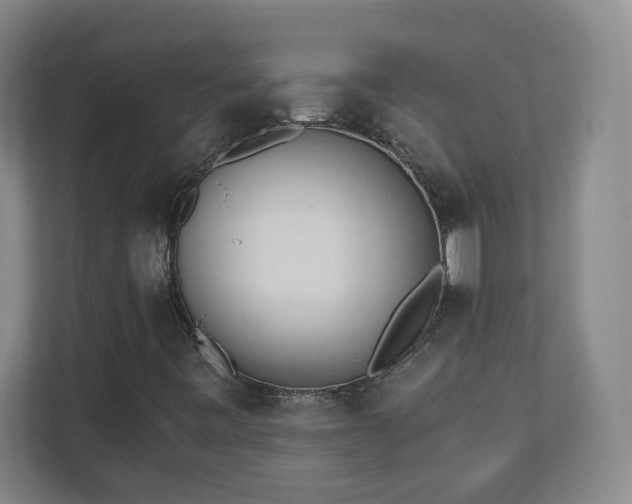 X0000110671443200906191335