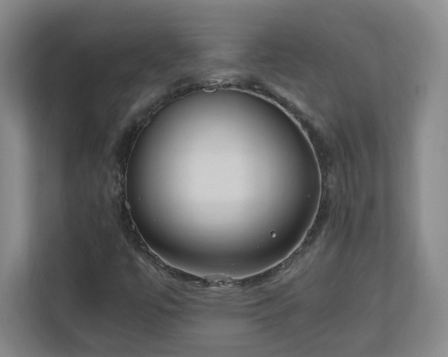 X0000110671447200906191335