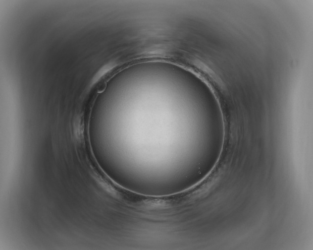 X0000110671450200906191335