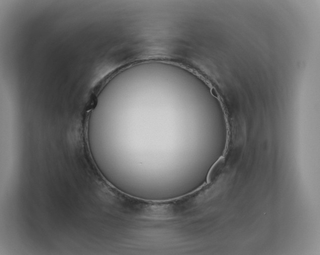X0000110671453200906191335