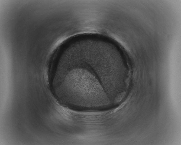 X0000110671455200906191335