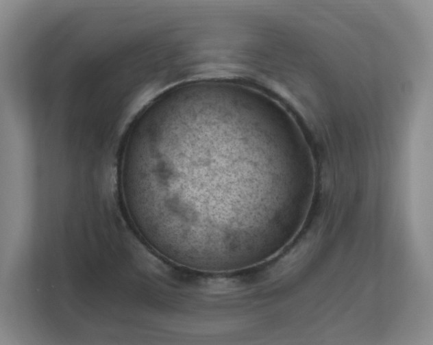 X0000110671459200906191335