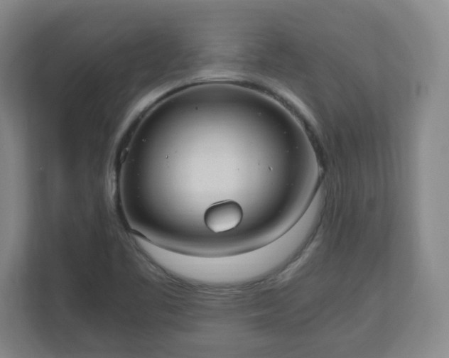 X0000110671461200906191335