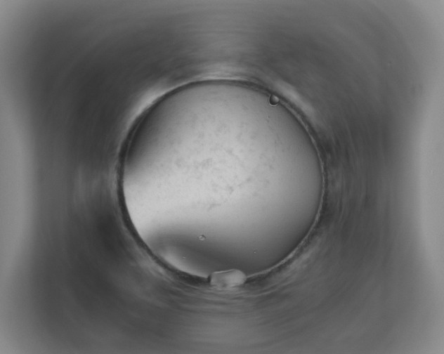 X0000110671463200906191335