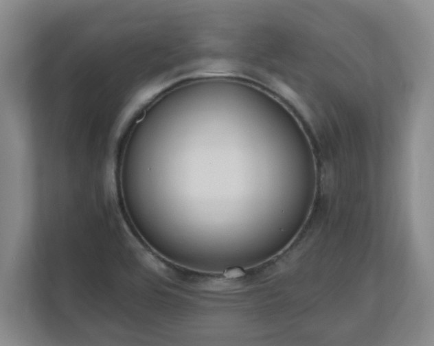 X0000110671464200906191335