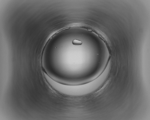 X0000110671473200906191335