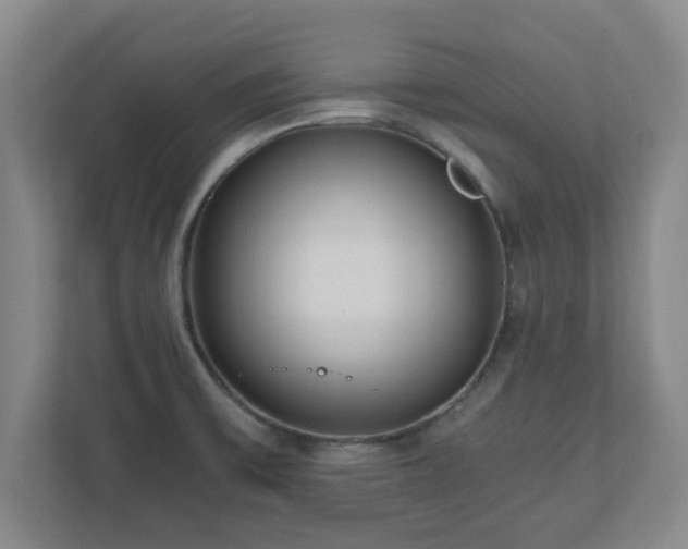 X0000110671475200906191335