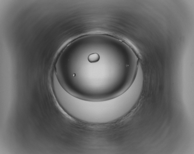 X0000110671476200906191335