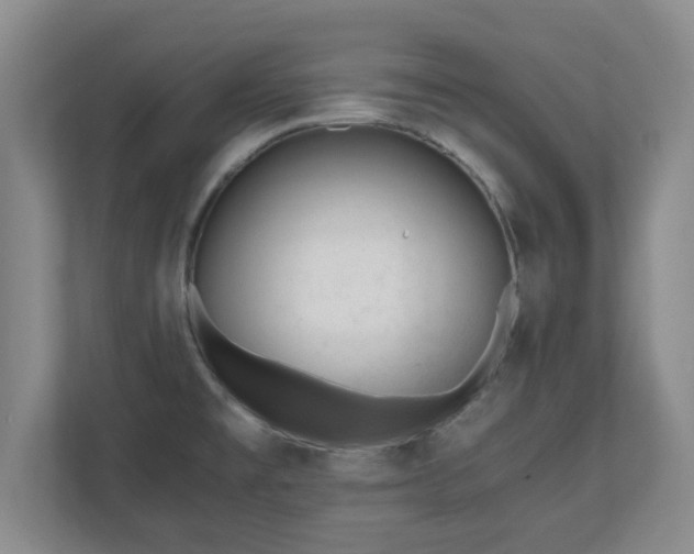 X0000110671477200906191335