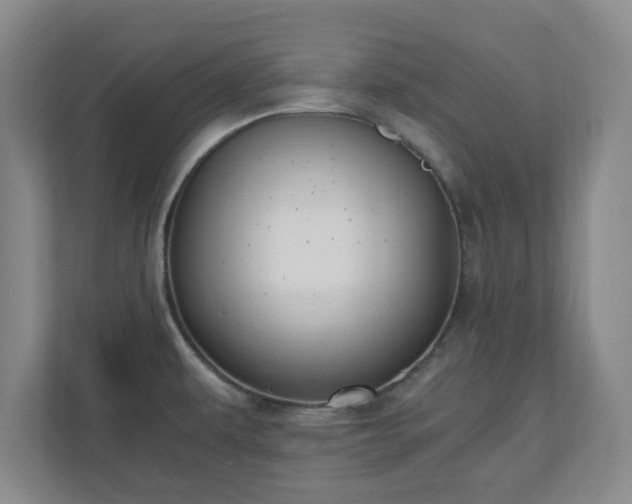 X0000110671479200906191335