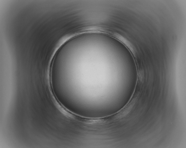 X0000110671482200906191335
