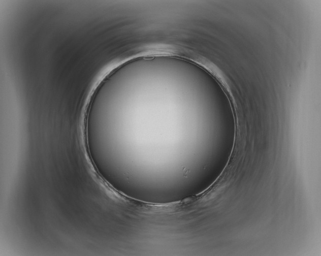 X0000110671488200906191335