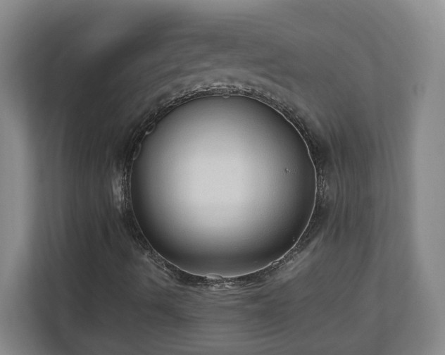 X0000110671490200906191334