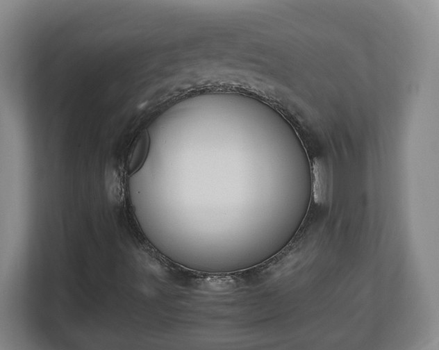 X0000110671491200906191334