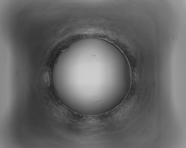X0000110671493200906191334