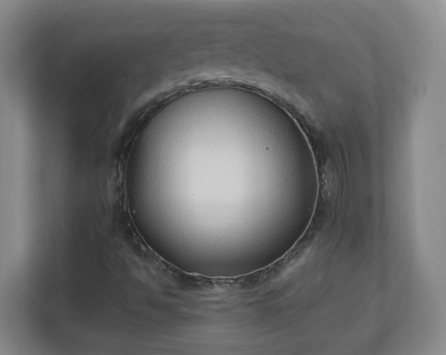 X0000110671494200906191334