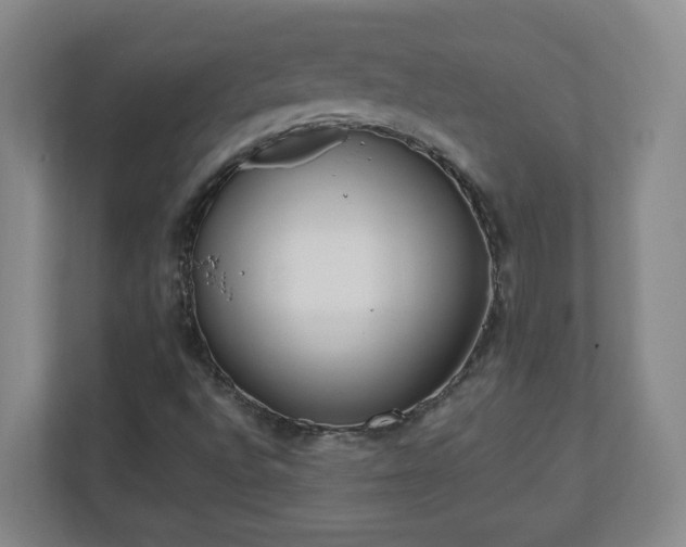 X0000110671496200906191334