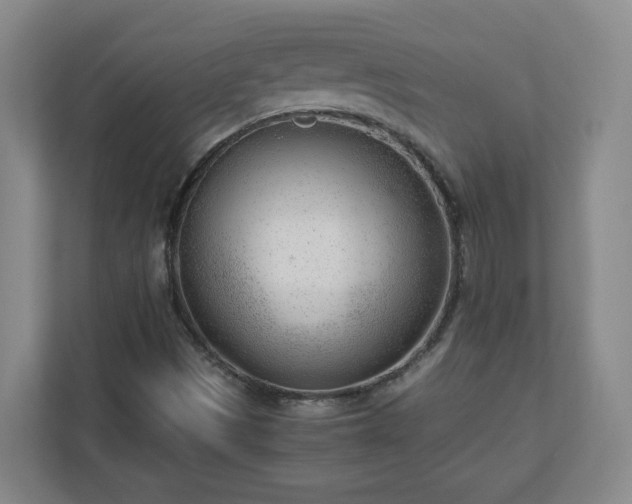 X0000110671497200906191334