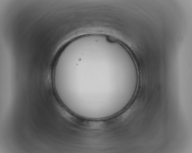 X0000110671498200906191334