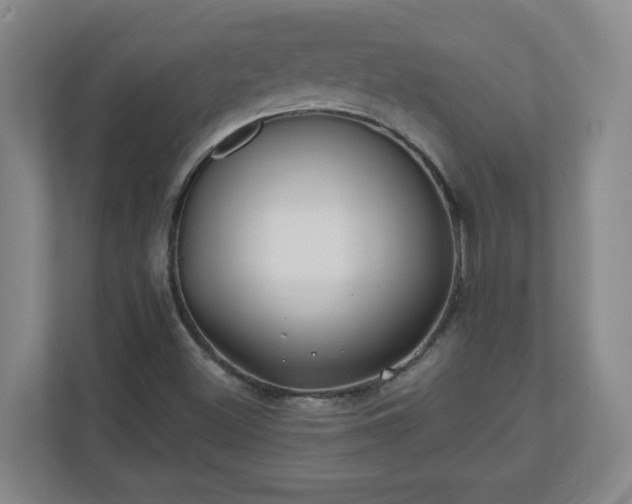 X0000110671500200906191334