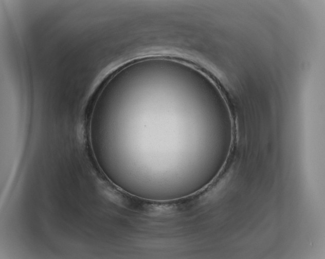 X0000110671501200906191334