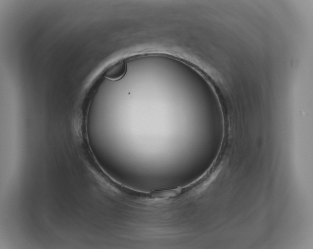 X0000110671502200906191334