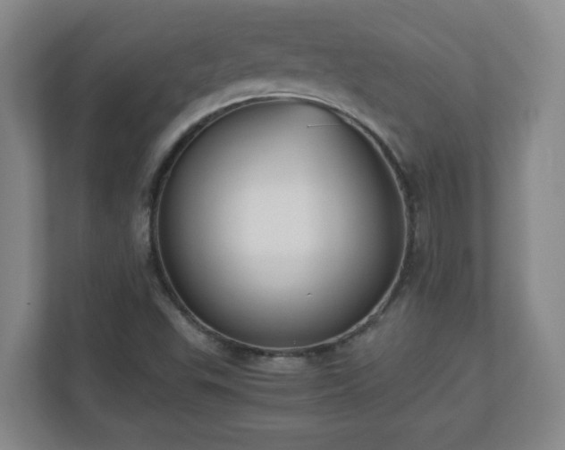 X0000110671503200906191334