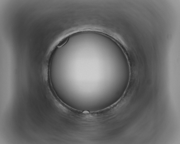 X0000110671504200906191334