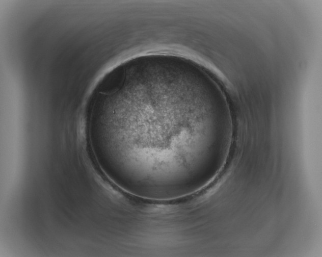 X0000110671506200906191334