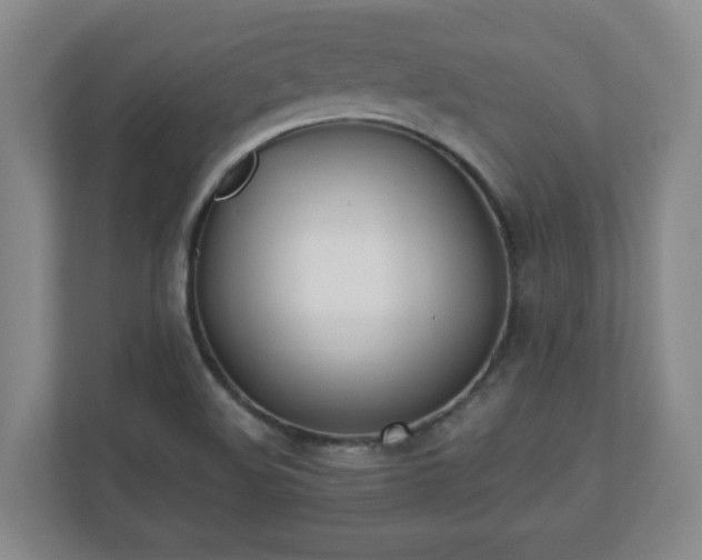 X0000110671508200906191335