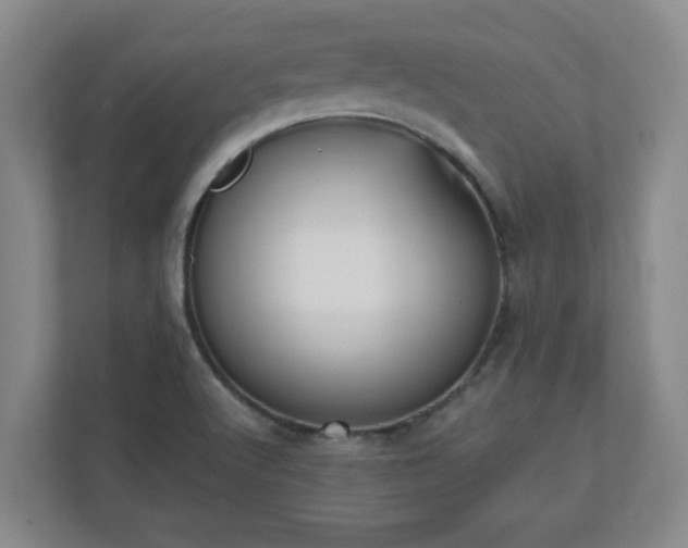 X0000110671512200906191335