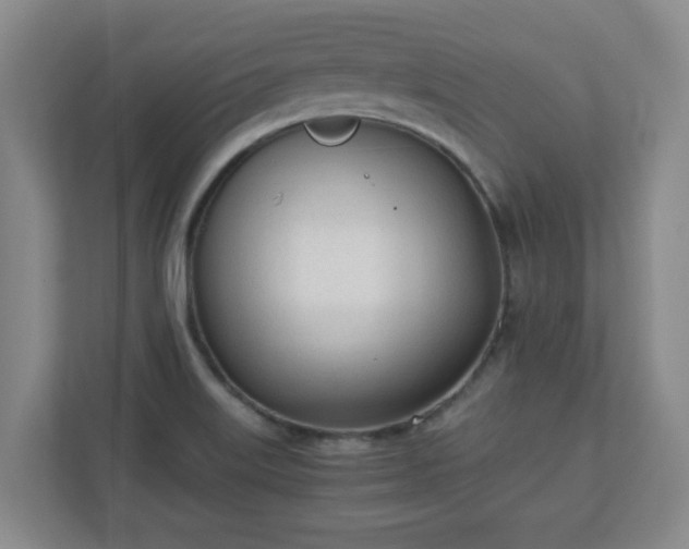 X0000110671515200906191335