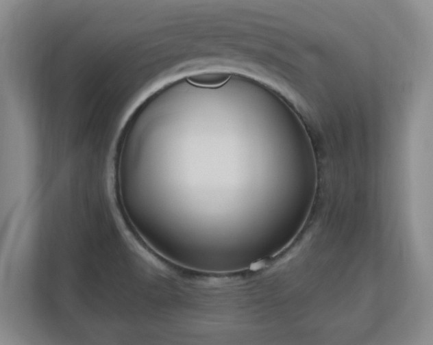 X0000110671518200906191335