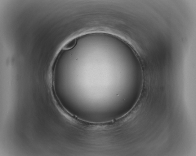 X0000110671519200906191335