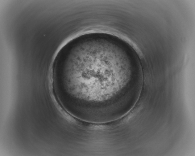 X0000110671522200906191335