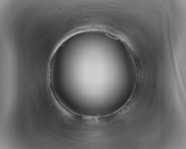X0000110671524200906191335
