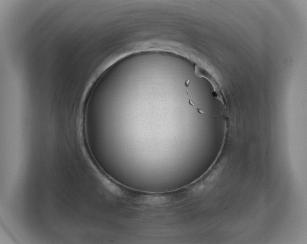 X0000110671525200906191335