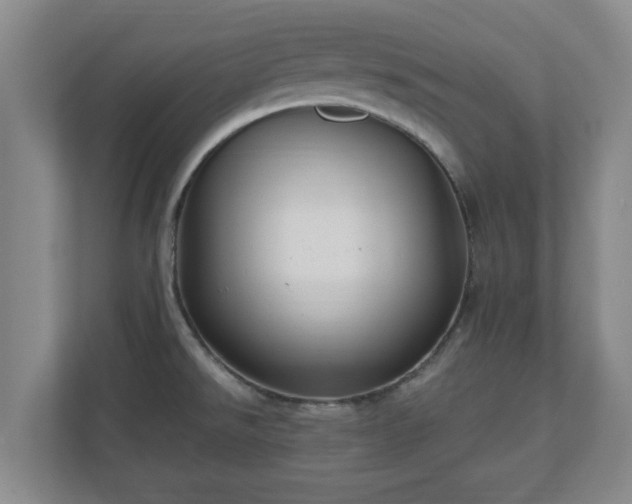 X0000110671526200906191335